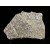 Fluorite on Calcite  Yanci M02584